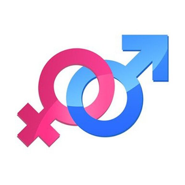 Telegram чат Знакомства Чат 18+