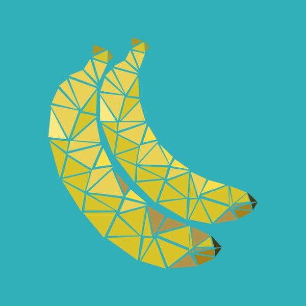 e2705fb4b5f2a63c890e70b34908724c